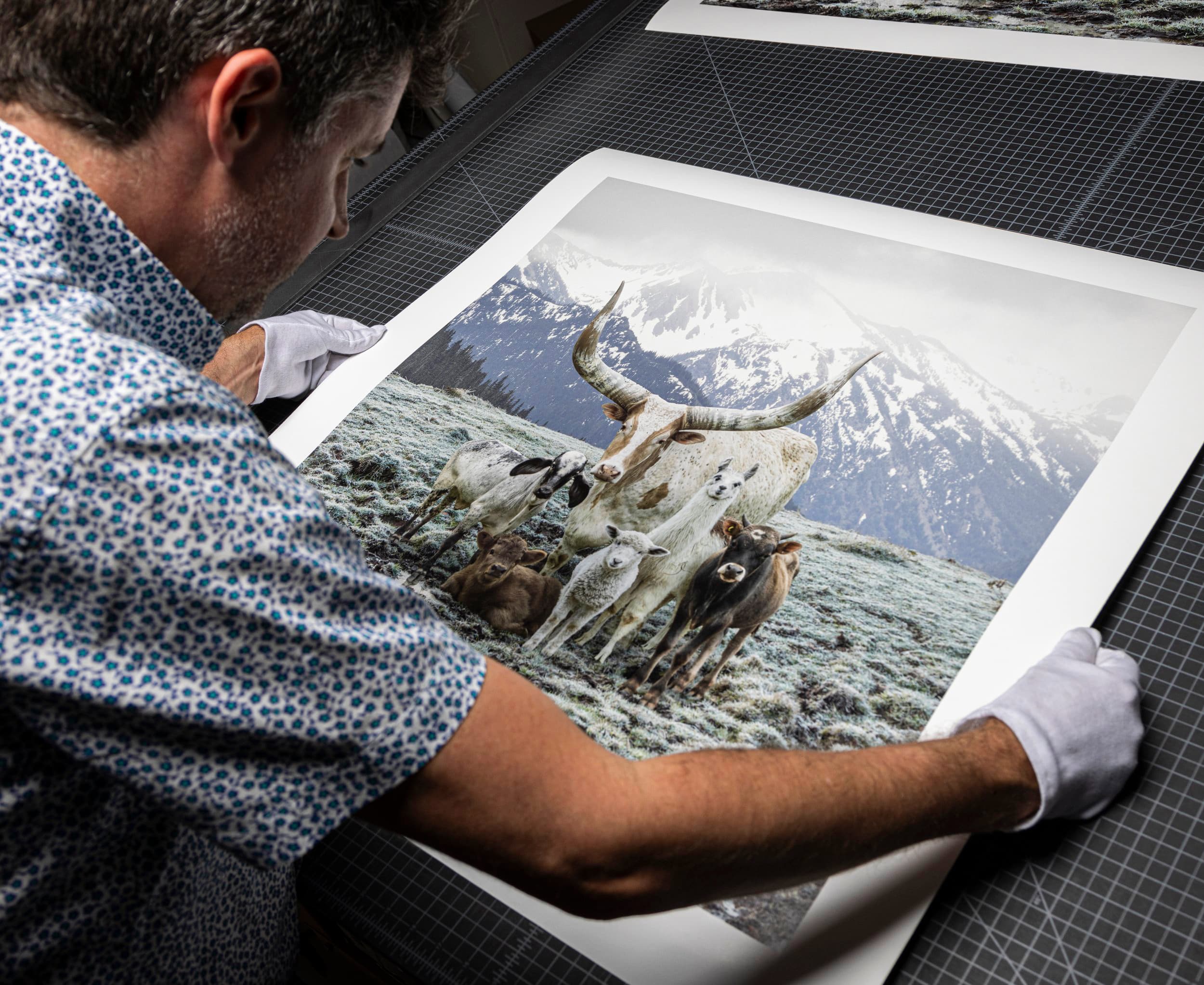 museum quality giclée print inspection on archival fine art paper
