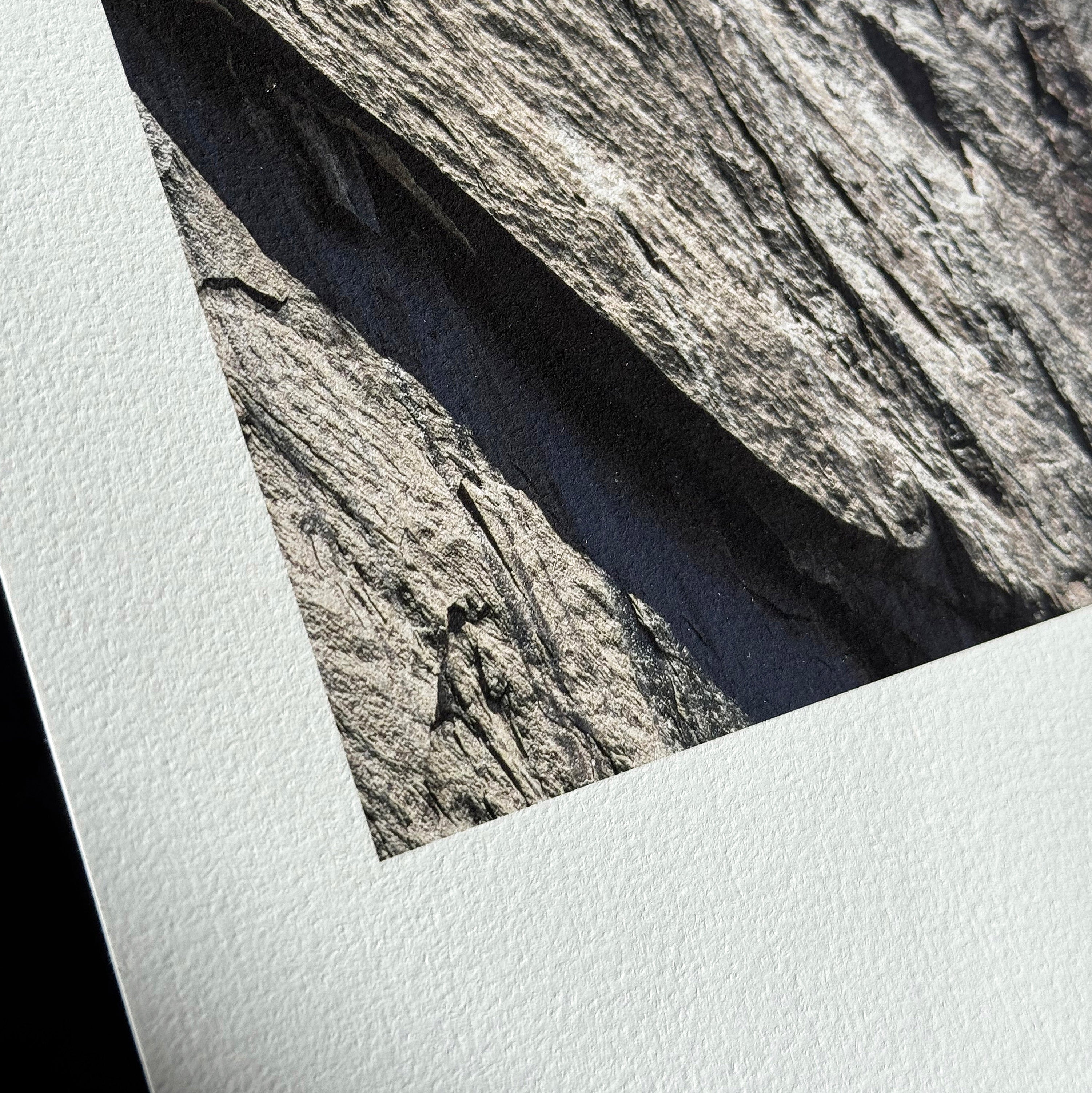 Example image of Canson Edition Etching Rag archival inkjet paper