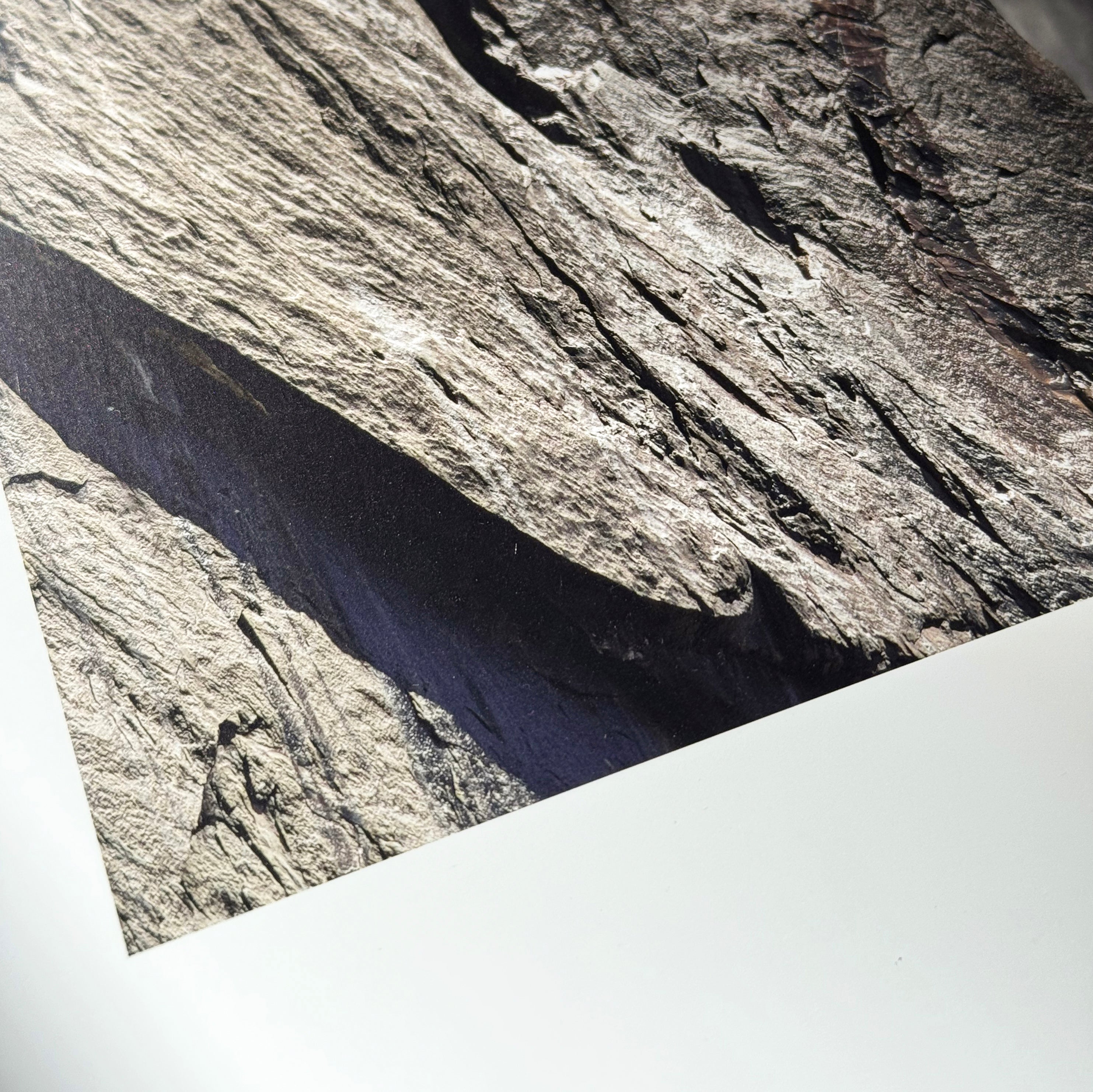 Example image of Canson Rag Baryta Photographique archival inkjet paper