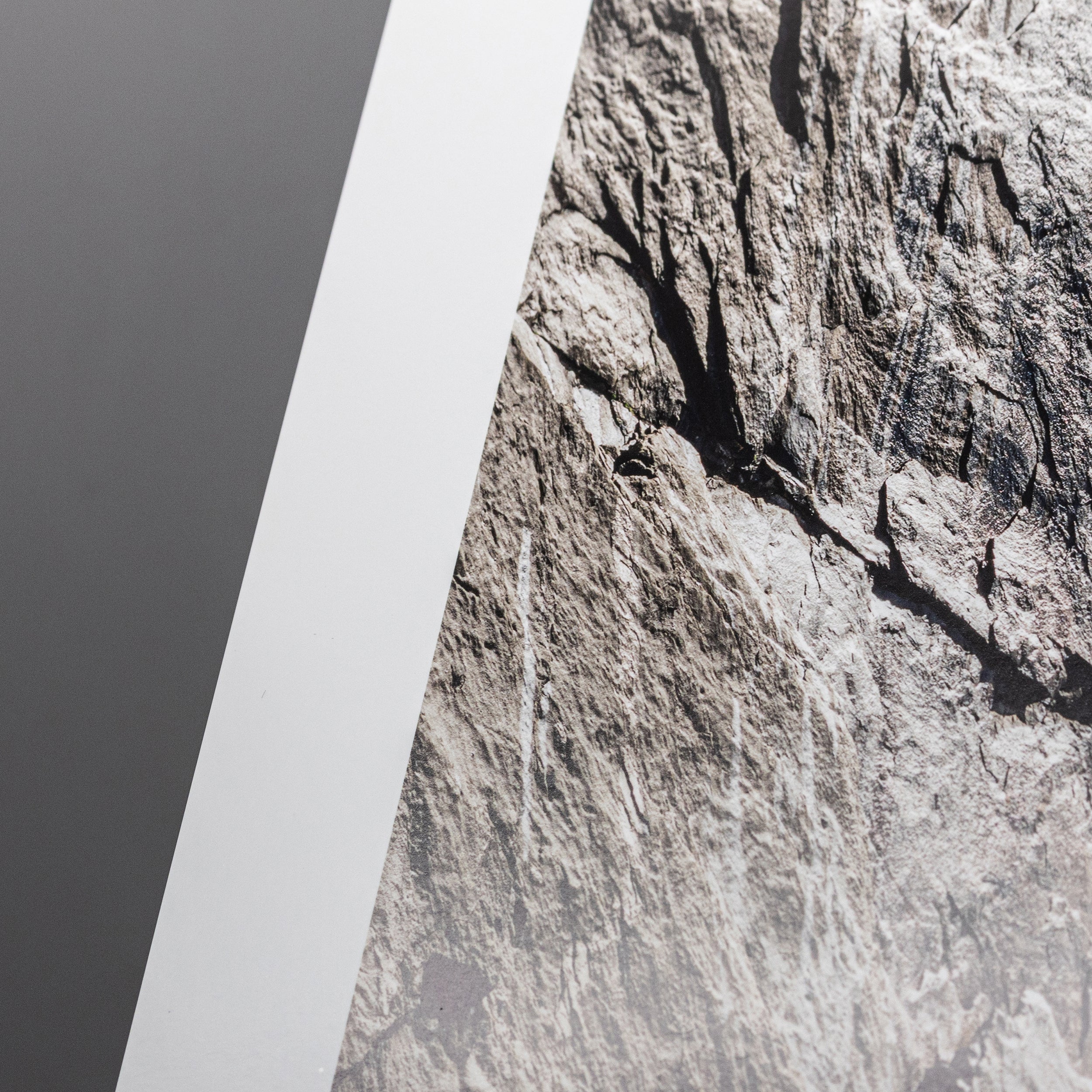 A sample image of our museum quality fine art papers