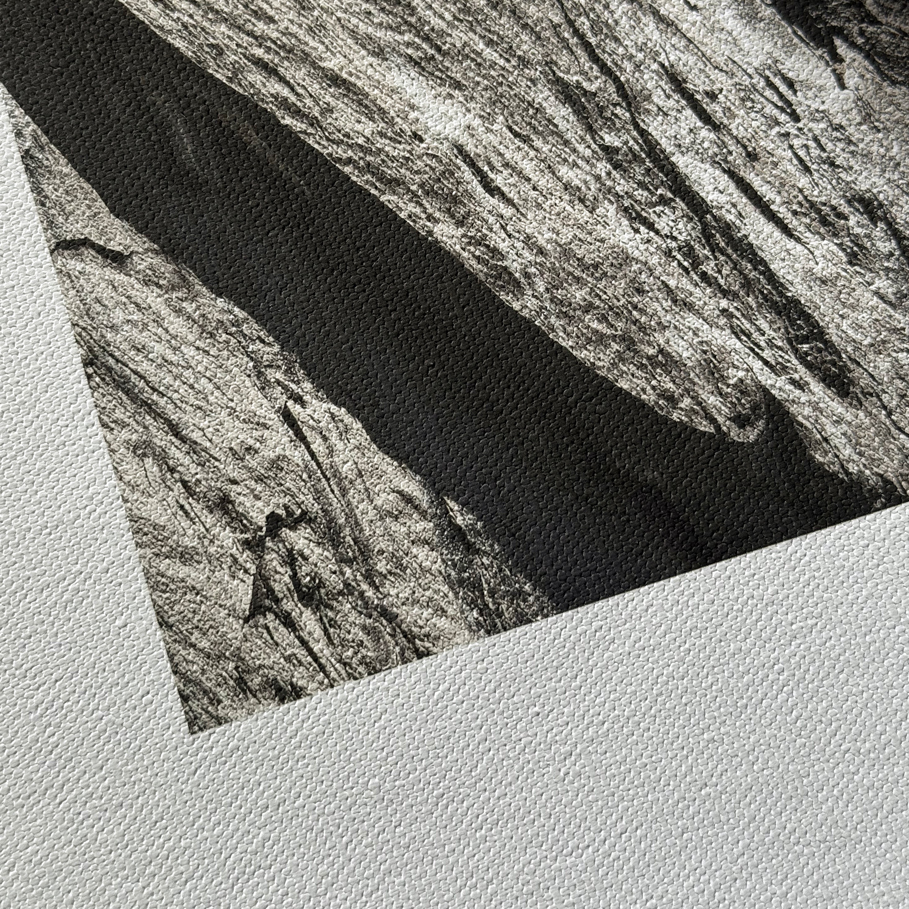 Close up images of the Hahnemuhle Daguerre Canvas Matte fine art material