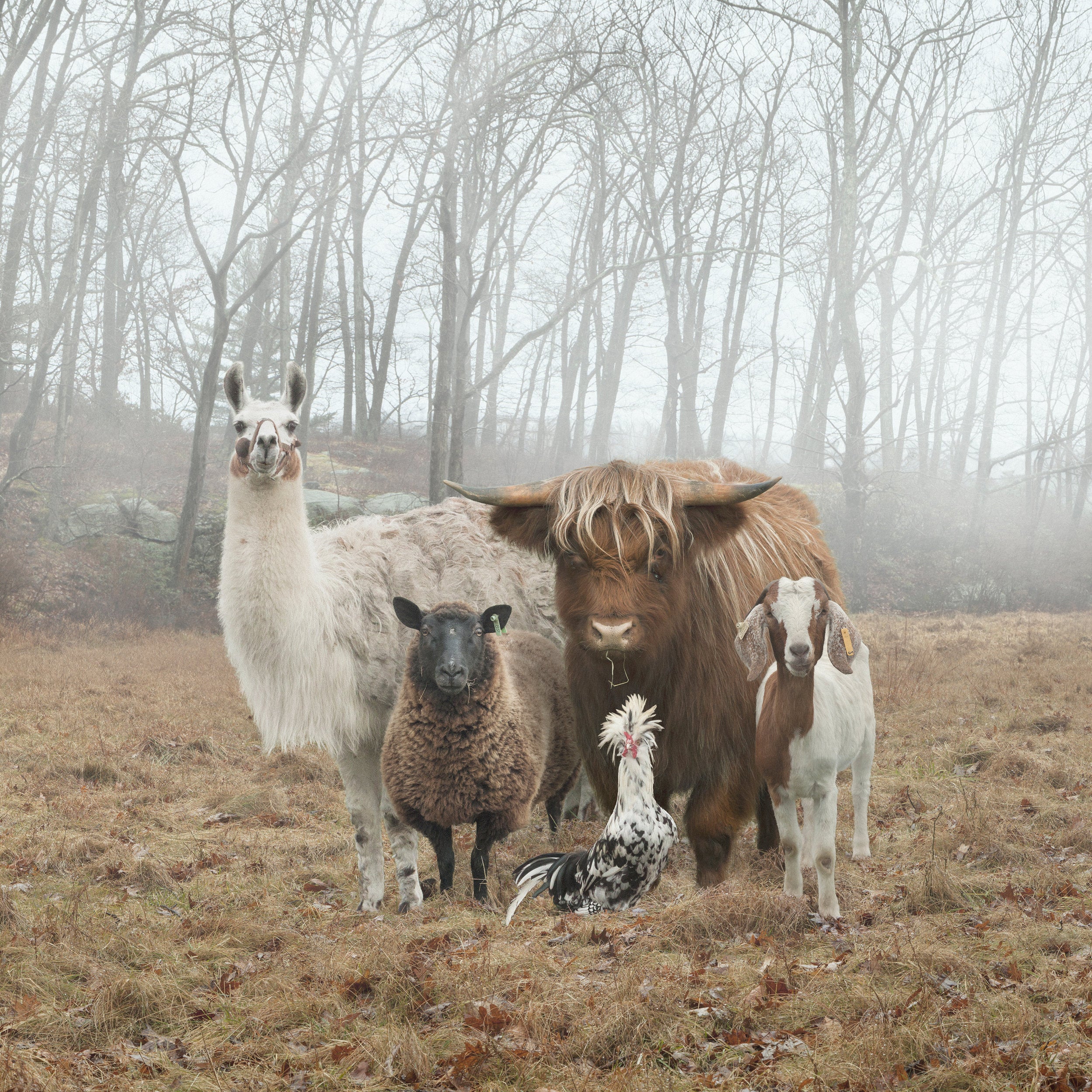 Photo of artwork by Rob MacInnis called Untitled #3